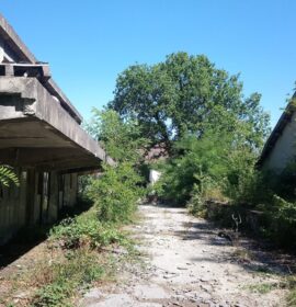 Damp Swamp (Ile de France)