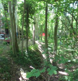 The Mansion (Ile De France)