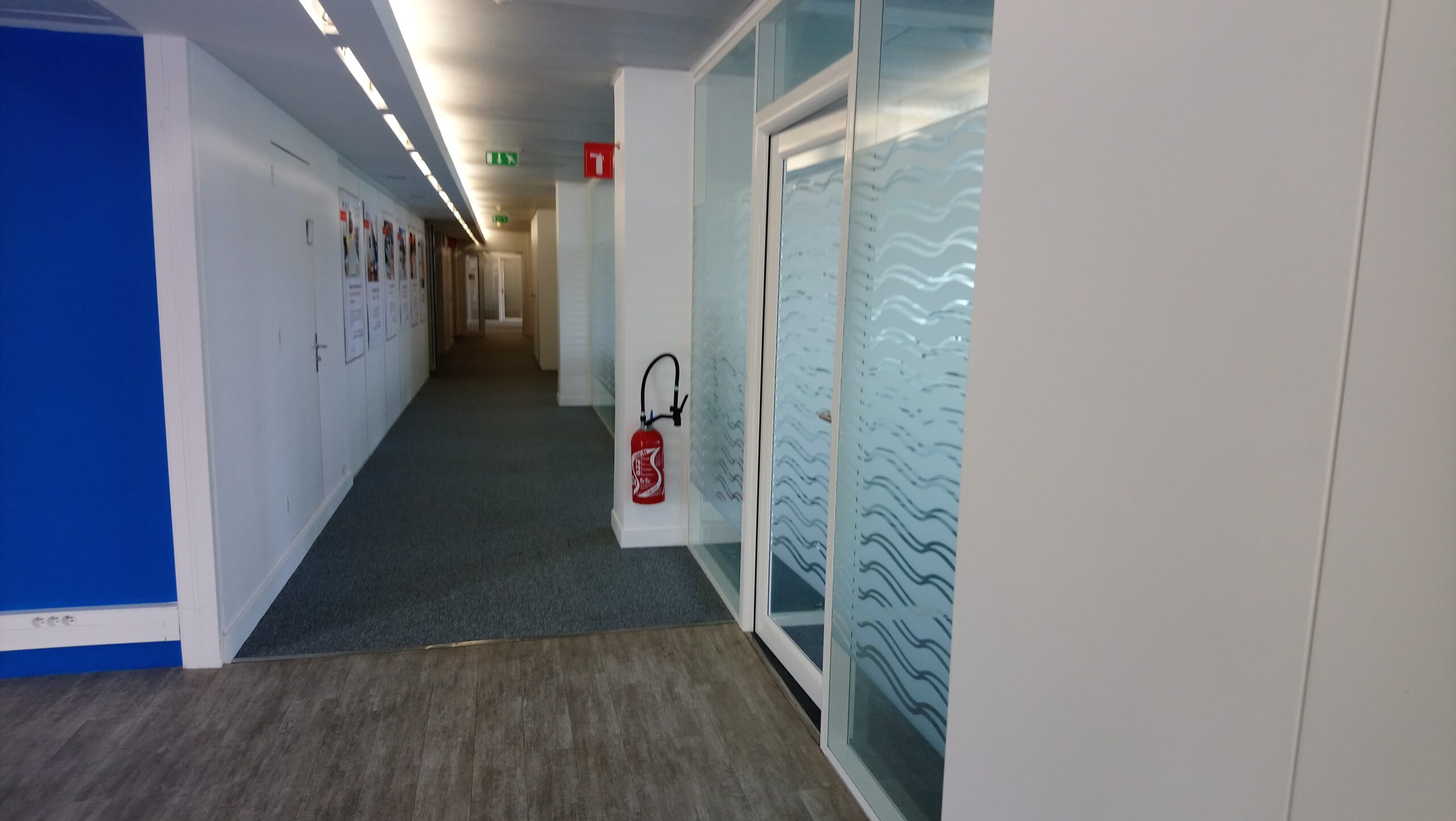 100 facts about paris picture