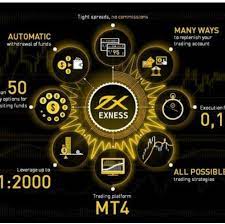 Что такое диаграмма Exness? Из каких типов диаграмм состоят?