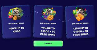 Rotate Panda Gambling Establishment Evaluation